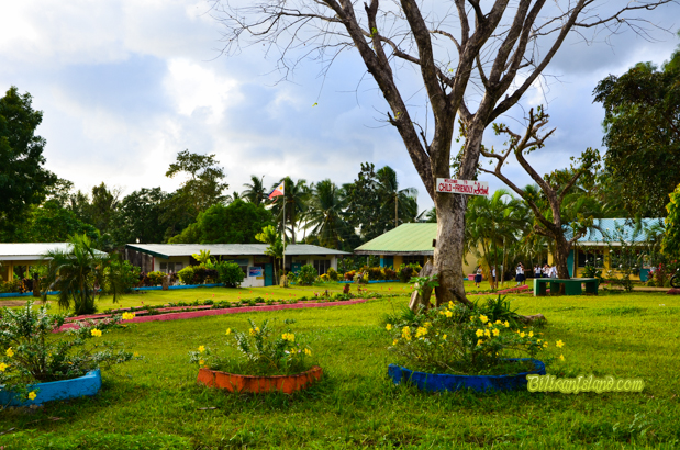 Tamarindo Elementary School