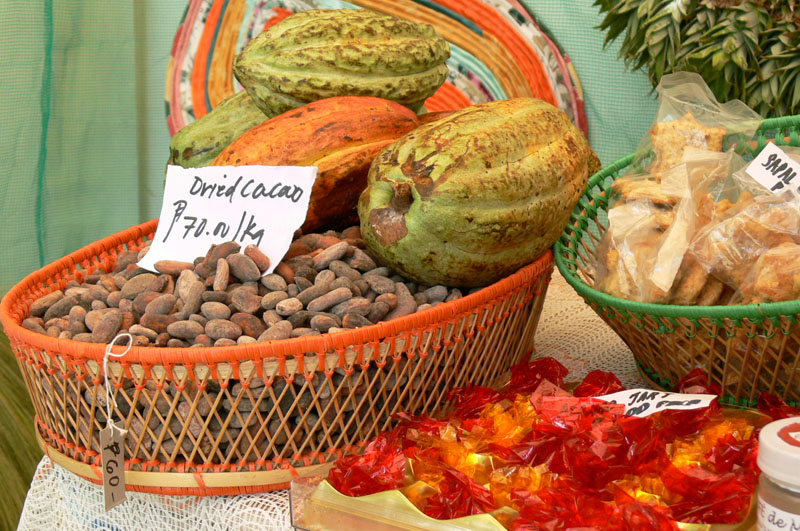 Biliran Agro-Industrial Fair