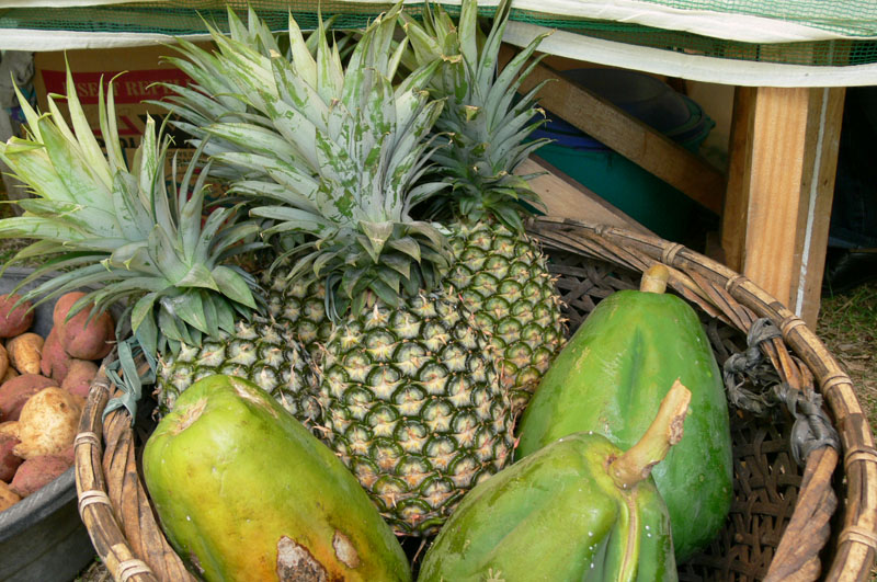 Biliran Agro-Industrial Fair