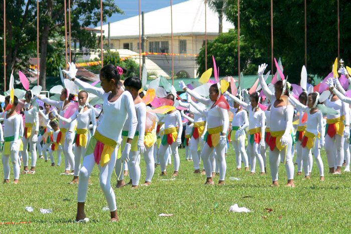 Naval Fiesta 2008