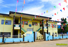 98th Caibiran Town Fiesta 2015