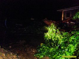 Landslides in Biliran