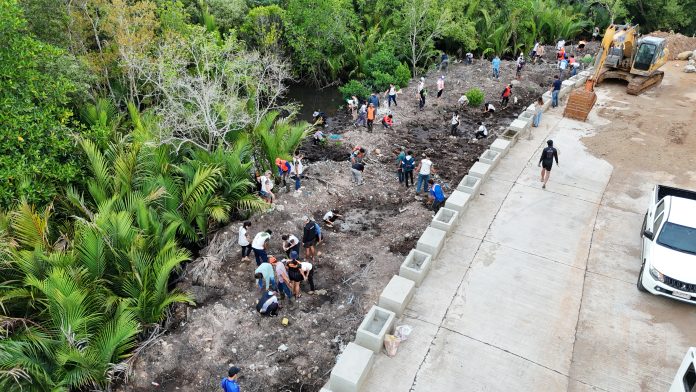 MANGROVE PLANTING
