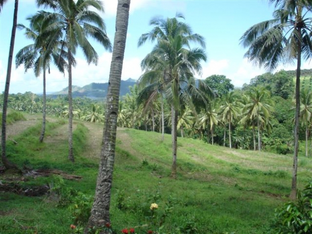 Barangay Lucsoon