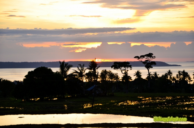 View from Brgy. Talustusan