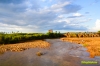 Caibiranriver-1.jpg