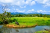 Carabao-11.jpg