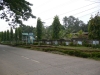 P1060509.jpg
