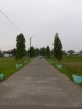 P1060510.jpg