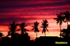 navalsunset-1.jpg