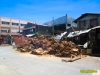 oldtreenavalcutdown-1.jpg