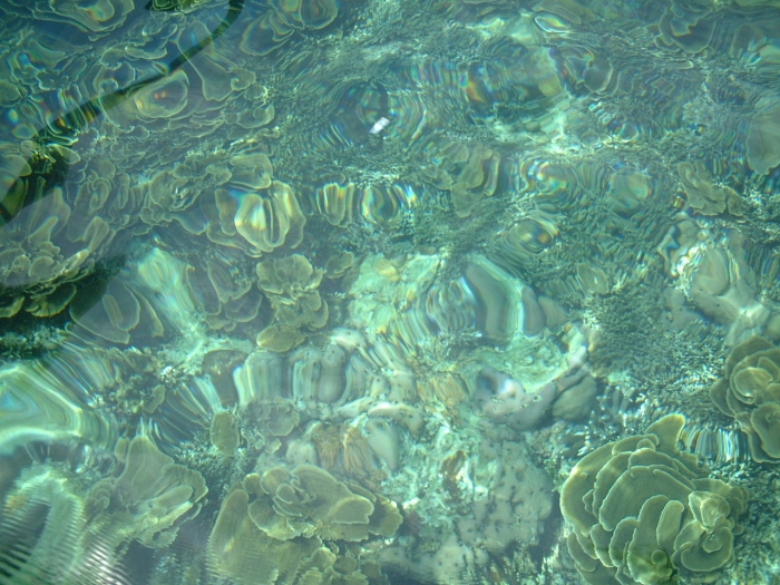 Dalutan Island