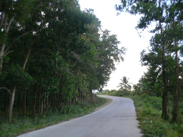 concrete road in cross country