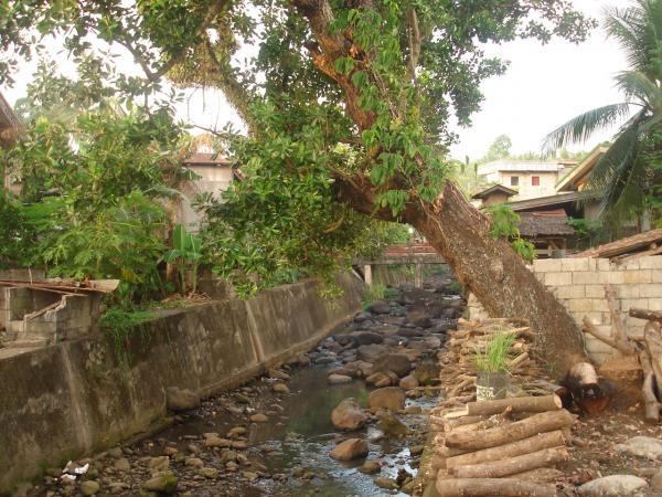 poblacion river