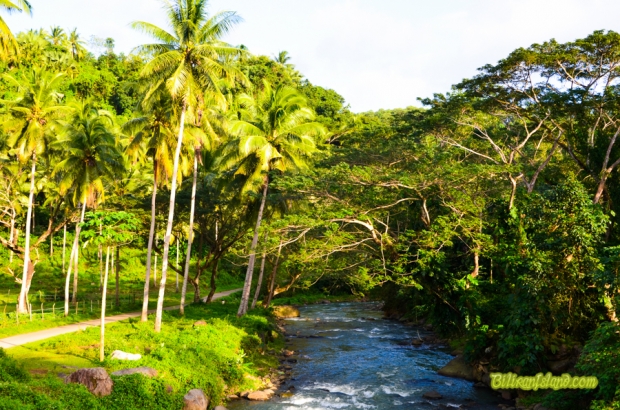 The river or creek in Brgy. Salangi