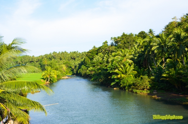 Bagongbong river