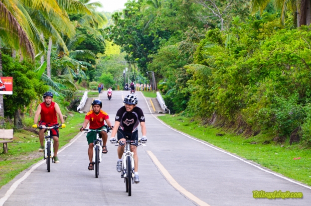 Mountain bikers
