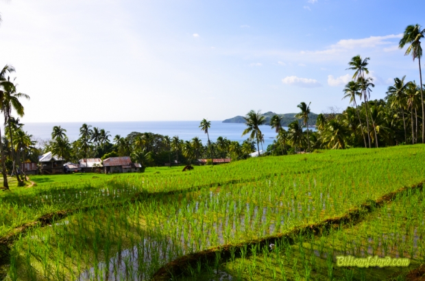 Tabonan view