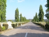 P1060620.jpg