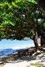 Talahidbeachresort-31.jpg