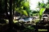 TuboranSpringPool-11.jpg