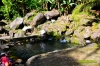tuboranspringpool-1.jpg
