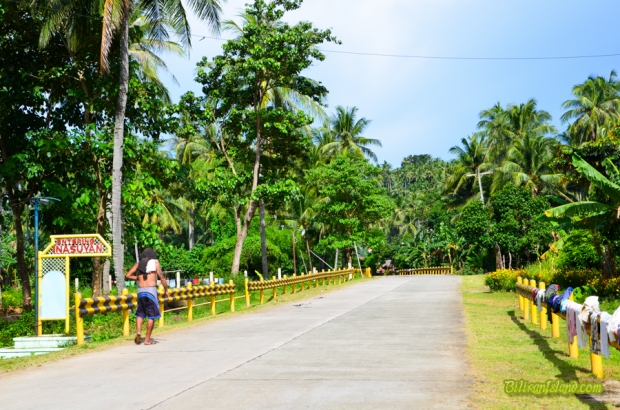 Inasuyan, Kawayan