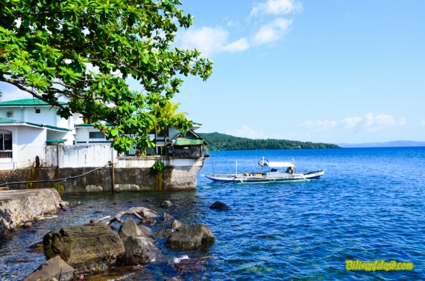 Masagongsong, Kawayan