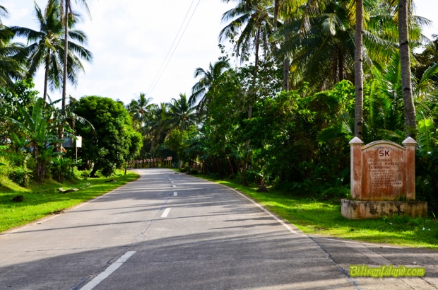 Kawayan Highway