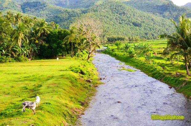 The river or creek in Brgy. Mapuyo