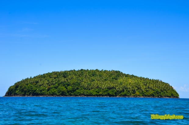 Turtle Island