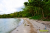Cogonbeach-1.jpg