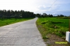 ungale-2.jpg