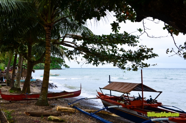 Brgy Habuhab Culaba