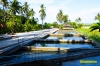 fishpond-1.jpg
