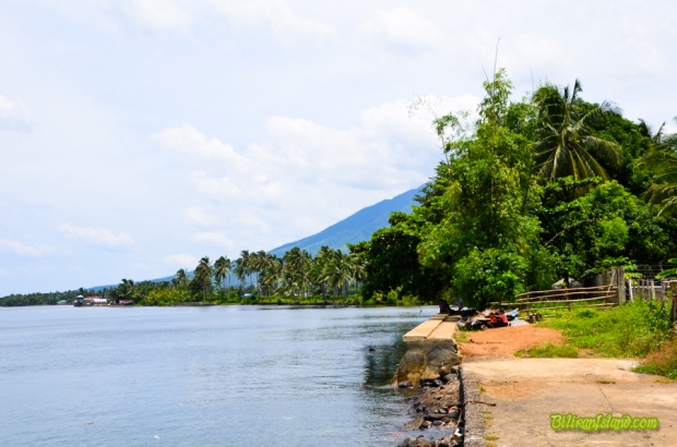 Brgy. Tomalistis