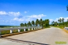 Calambisbridge-1.jpg