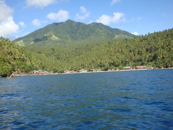 DSC03071
