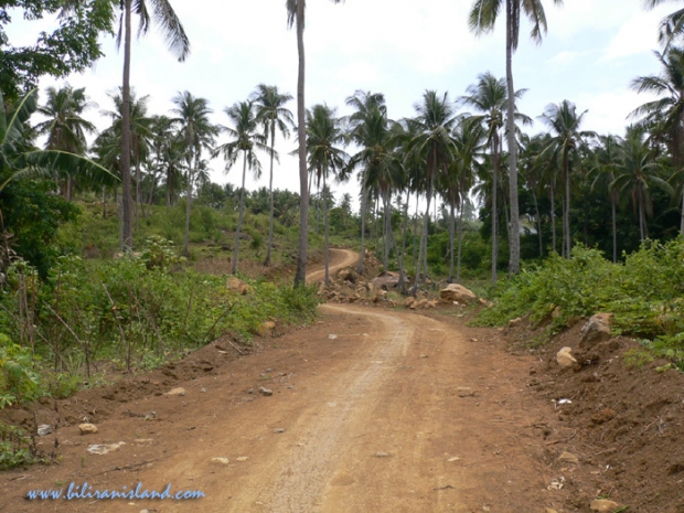 road going to Kasabangan Falls