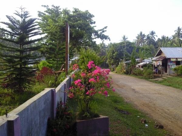 Salawad Cabucgayan Biliran
