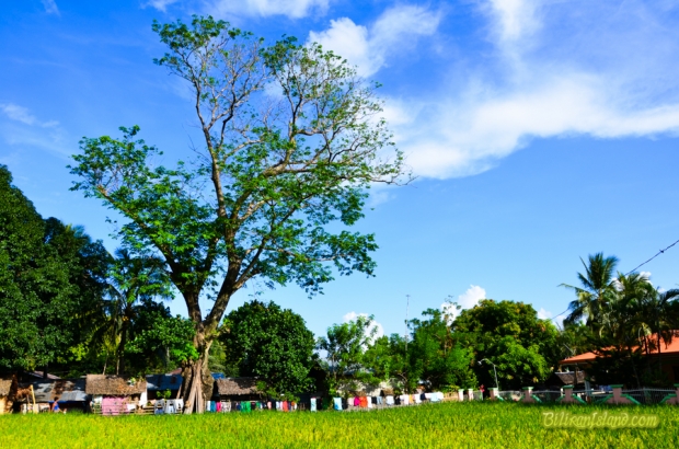 Cabucgayan town