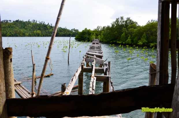 Cabucgayan board walk
