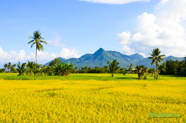Beautiful scenery