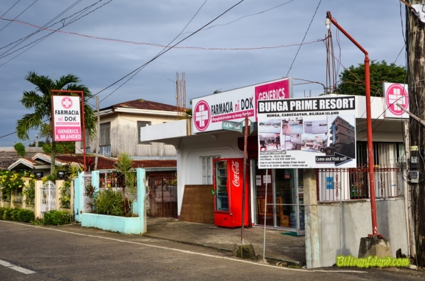 Farmacia ni Dok in Bunga