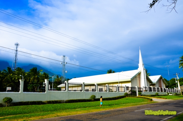 The Mormon Church