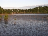 DSCN1183.JPG