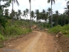 P1080206.jpg