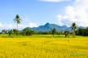cabucgayanview-1.jpg