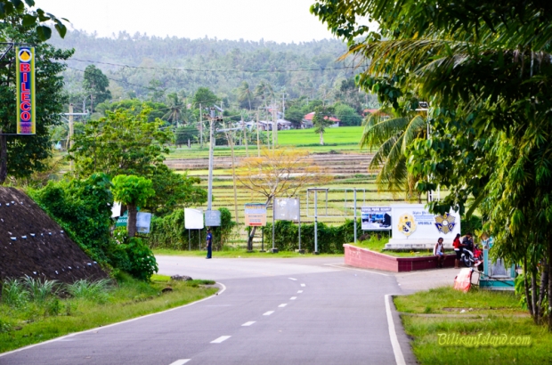 Biliran road