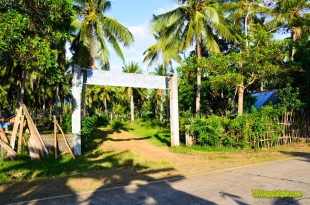 Busali Stud Farm